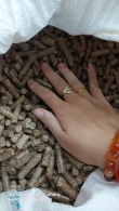 Viên nén gỗ (woodpellets)