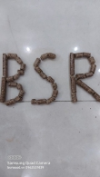Viên nén gỗ (woodpellets)