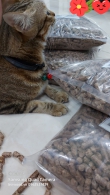 Viên nén gỗ (woodpellets)