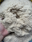 Viên nén bã mía (Sugarcane pellet) 8mm